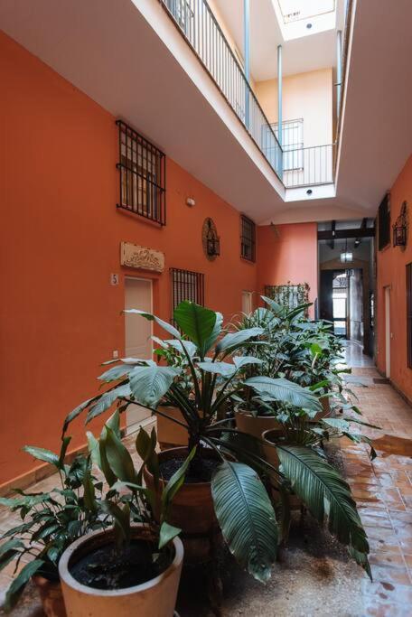 Selecta Elegante Y Centrico Apartamento Sevilla Dış mekan fotoğraf